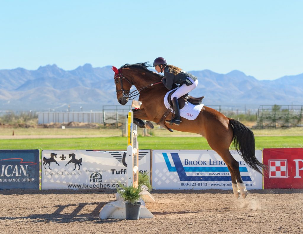 Dresser un cheval pour qu’il vous adopte