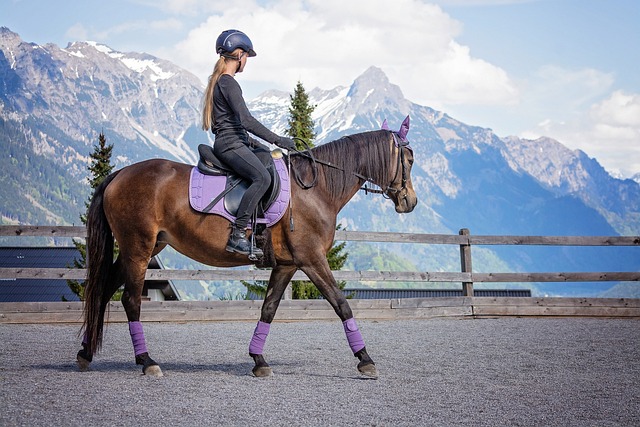 Botte sales pour equitation